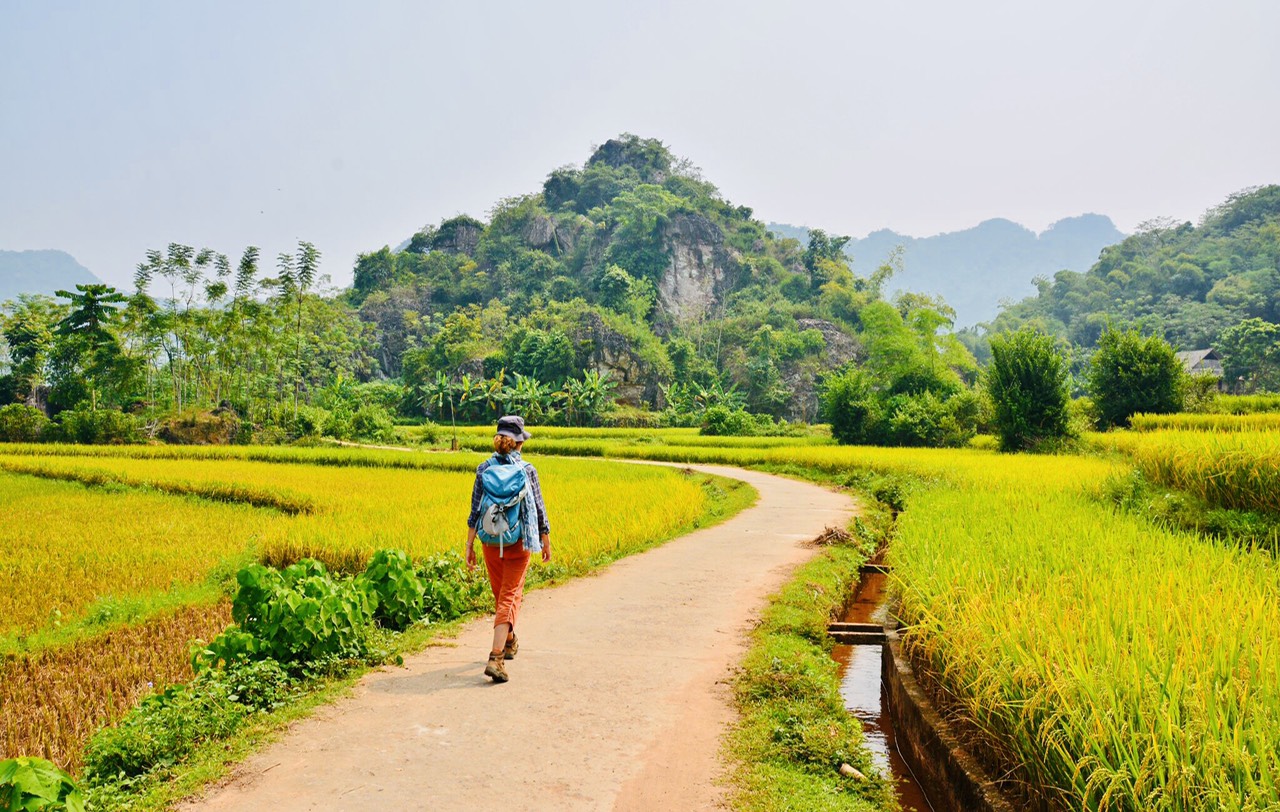 Montañas y campos de arroz en Mai Chau, Pu Luong en 8 días